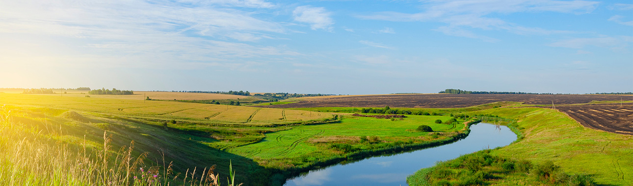 Flusslandschaft