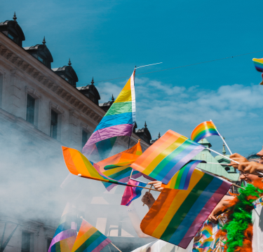 Diversity flags